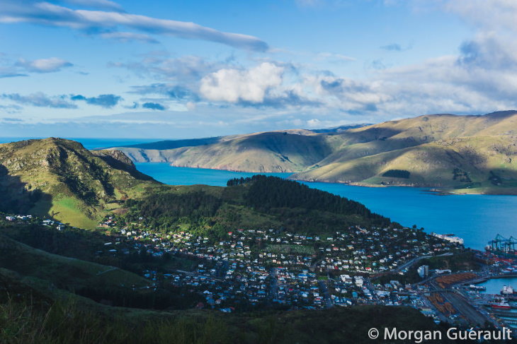 Nature of New Zealand by Morgan Guerault Lyttelton, Christchurch