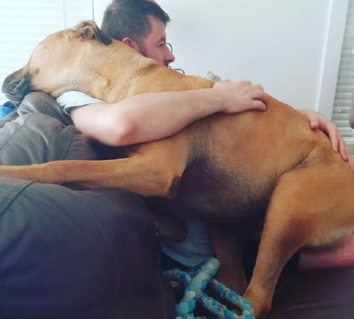 Friendships Between Humans and Animals, hug