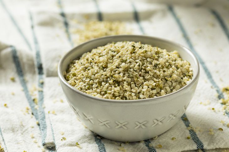 Plant-Based Protein Sources, Hempseed