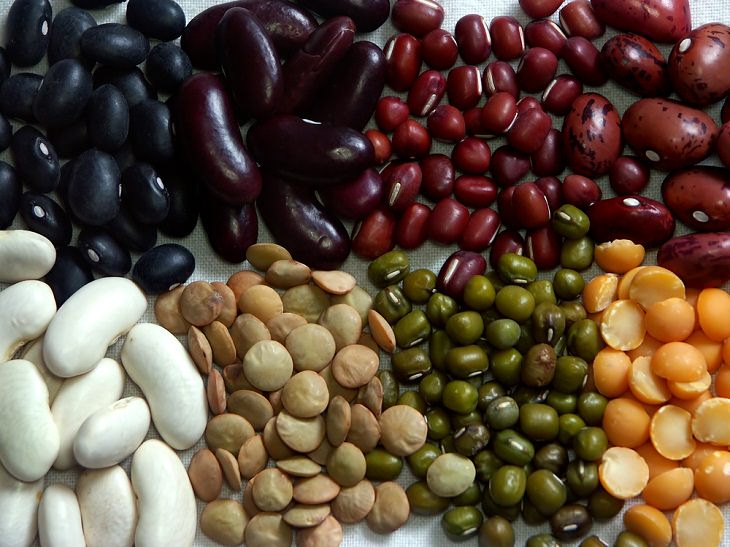 Plant-Based Protein Sources,  Beans