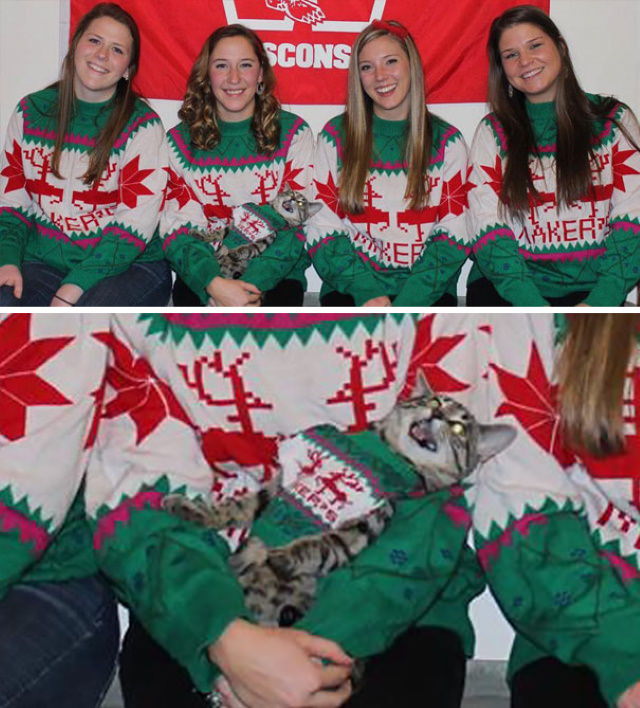 Christmas Family Photo Fails cat in  sweater