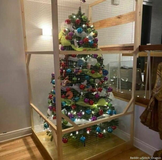 Christmas Family Photo Fails My dad built this to protect the tree from the cat."
