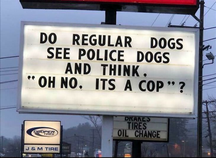Funny signs, police dogs