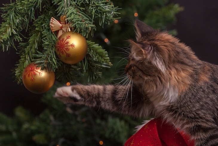 Christmas Trees and Pets: A Few Safety Tips, cat playing with ornament