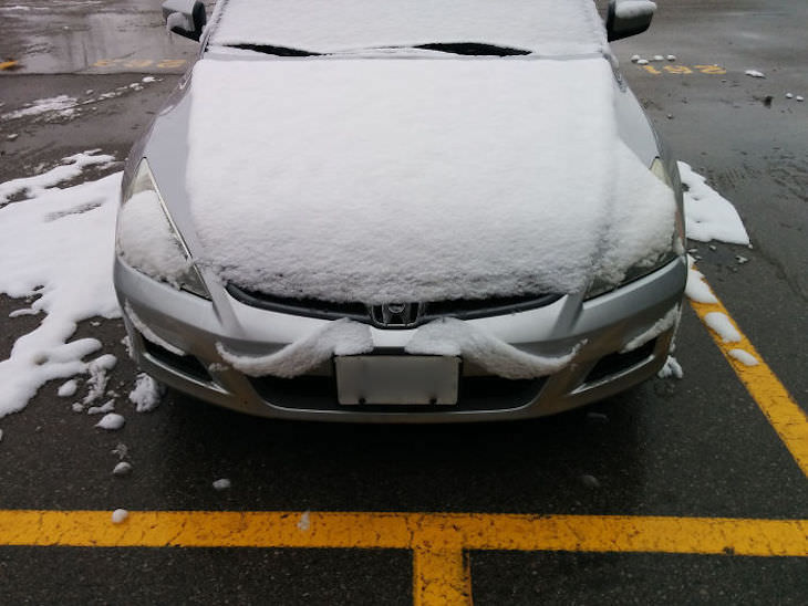Stunning Accidental Snow Sculptures, This car has a mustache!