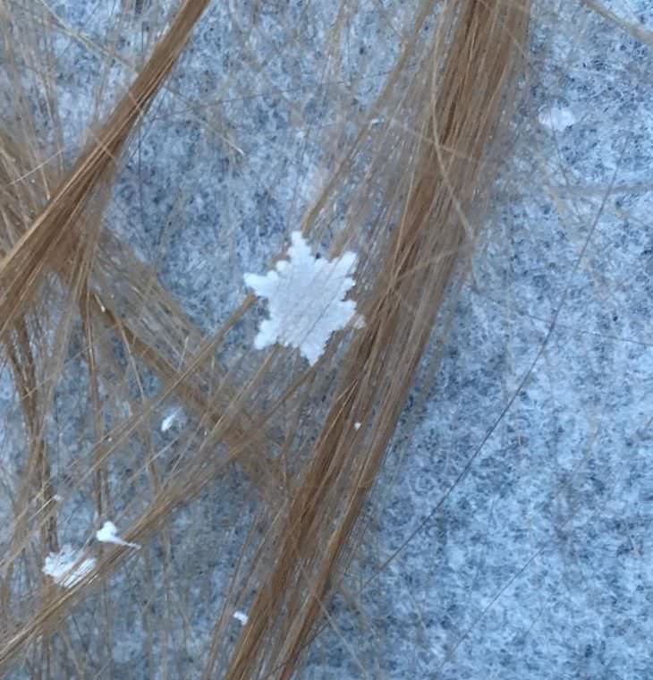Stunning Accidental Snow Sculptures, A perfect snowflake