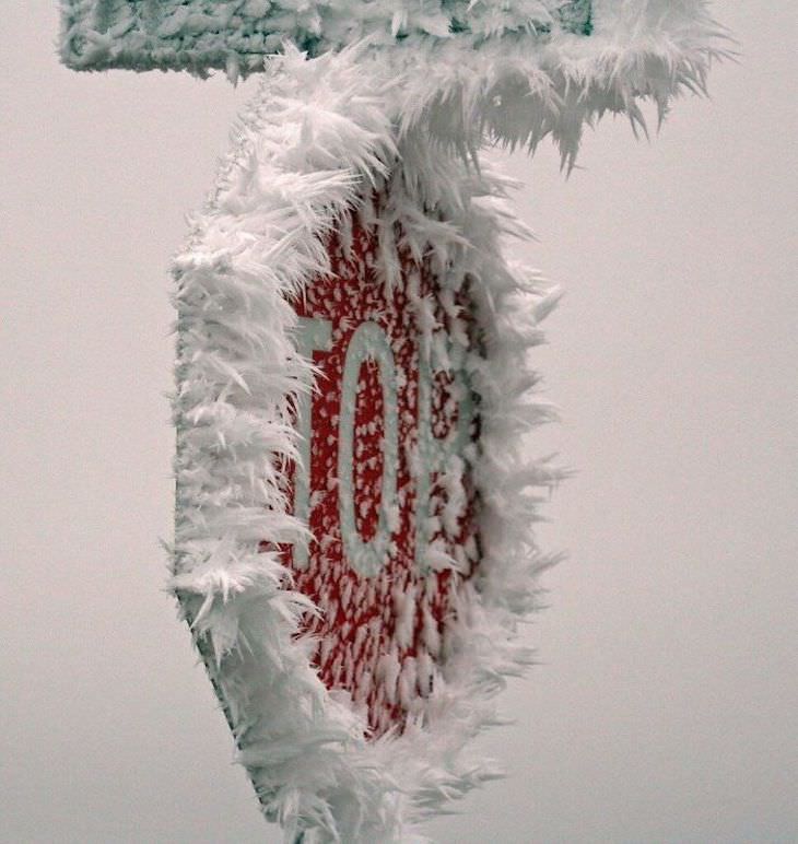 Stunning Accidental Snow Sculptures, A stop sign after a stormy week