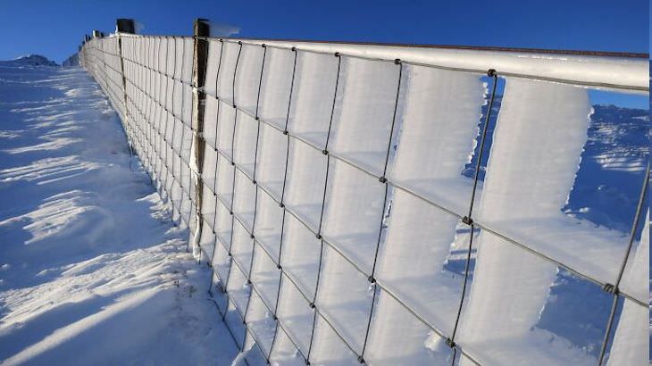 Stunning Accidental Snow Sculptures, forzen fence