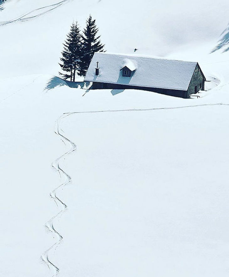 Stunning Accidental Snow Sculptures, Smooth winter paradise 