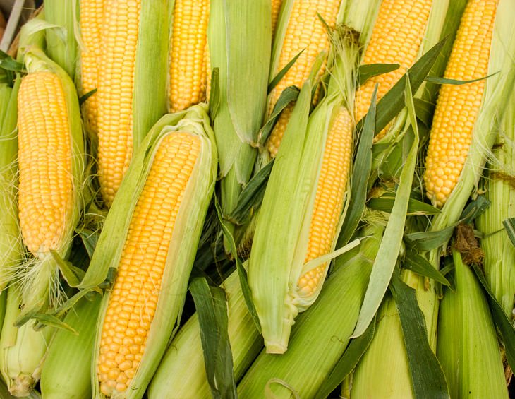 Foods to avoid in Winter, Corn on the cob