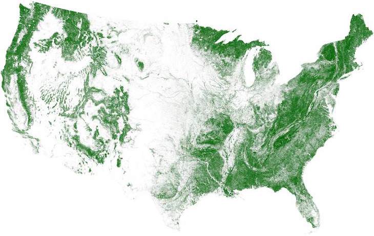 10 Informative and Fun Maps of the United States, tree cover