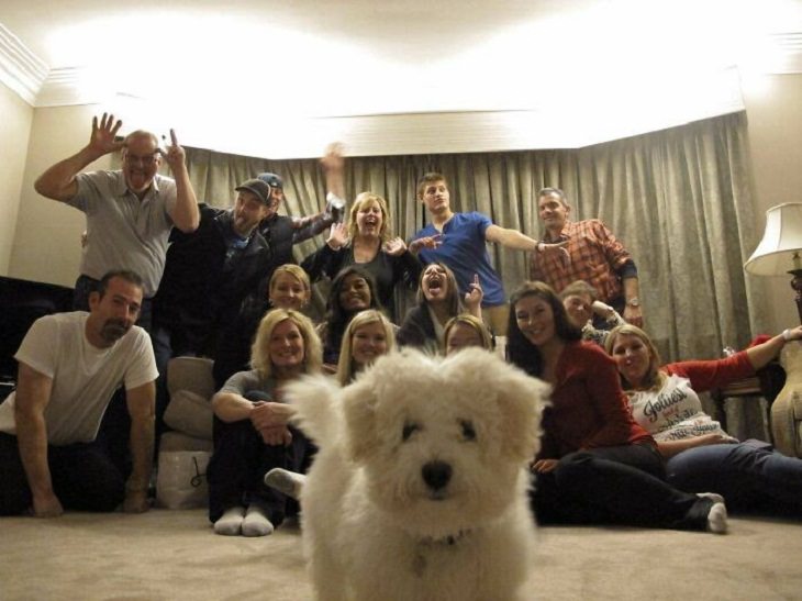 Dogs Who Ruined Christmas, camera