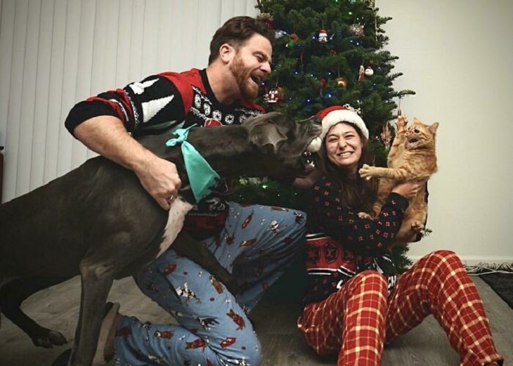 Dogs Who Ruined Christmas, cats and dogs
