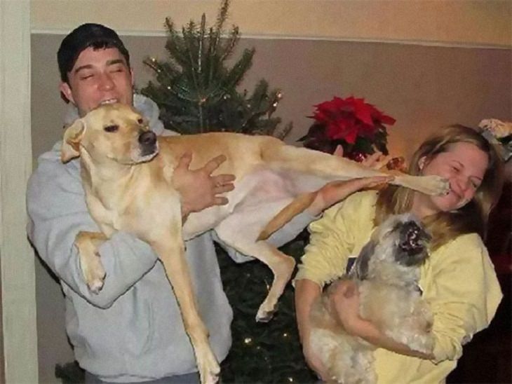 Dogs Who Ruined Christmas, kick