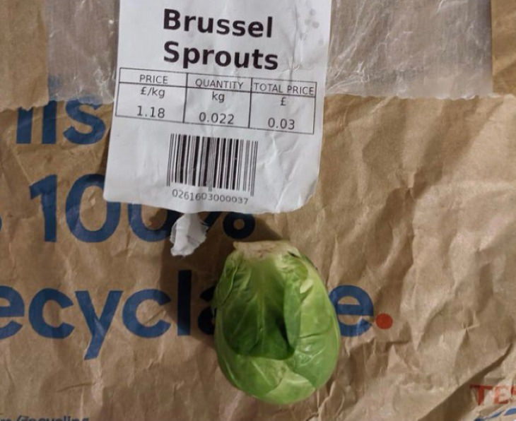 2020 Christmas Fails Brussels sprout