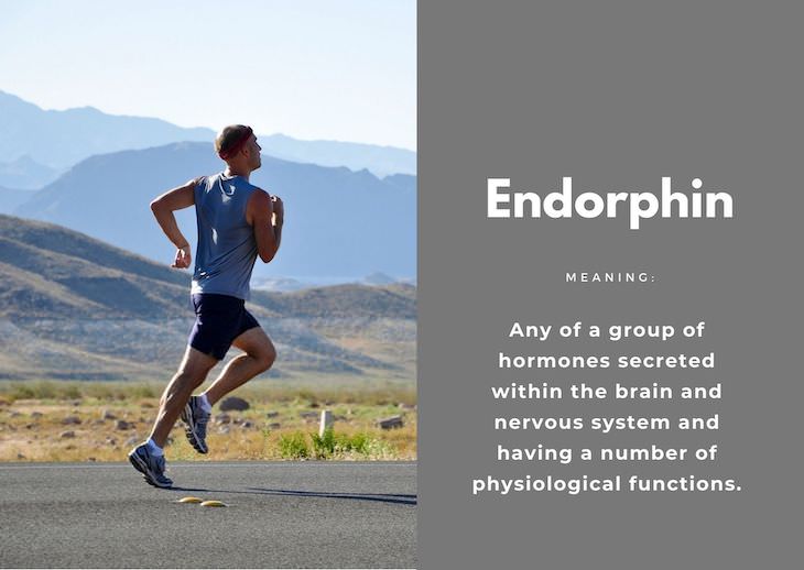 Popular Terms That Didn't Exist Before the 1970s, endorphin