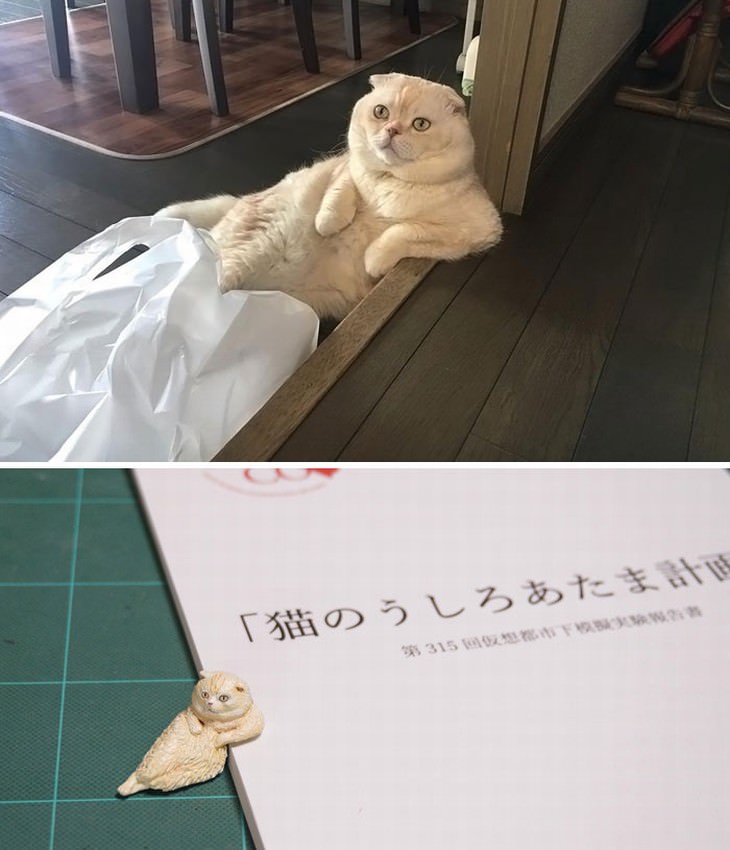 Meetissai animal memes in sculptures waiting cat