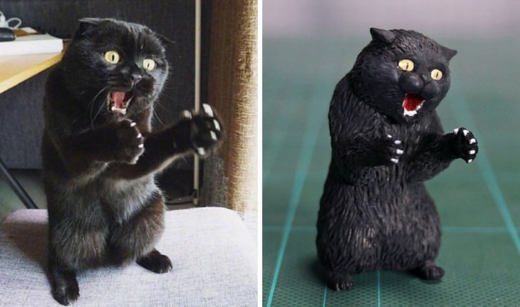 Meetissai animal memes in sculptures  angry cat