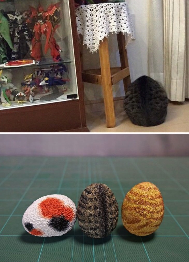 Meetissai animal memes in sculptures  cat egg