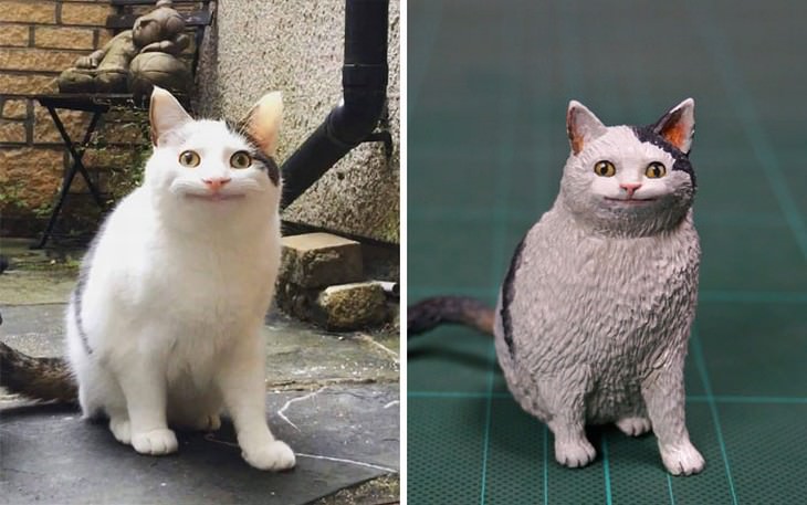 Meetissai animal memes in sculptures  surprised cat
