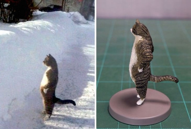 Meetissai animal memes in sculptures cat standing