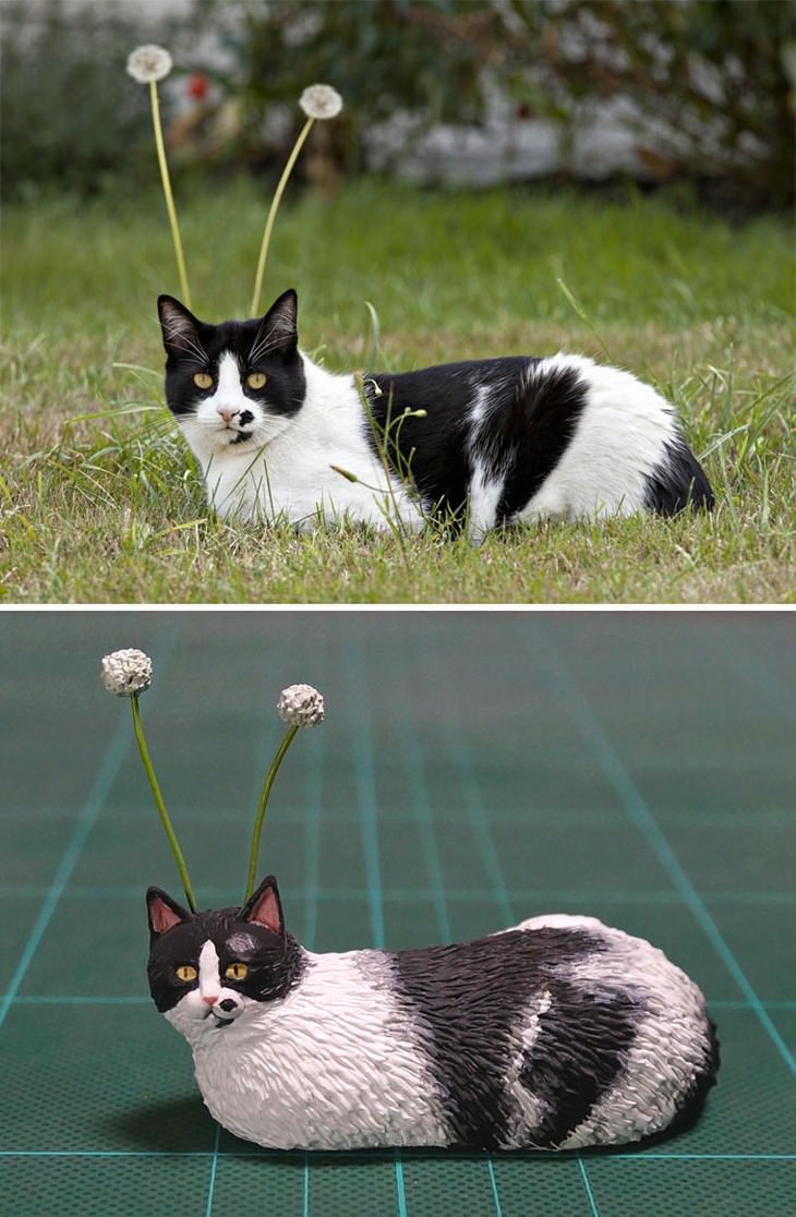 Meetissai animal memes in sculptures  cat alien