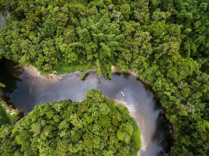 The Amazon Rain Forest, South America