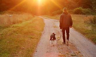 man walks with dog
