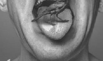 human tongue with bird on it