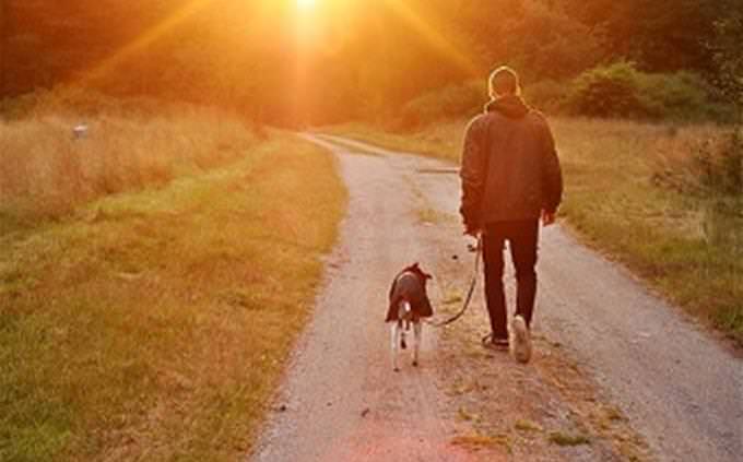 father and boy walking