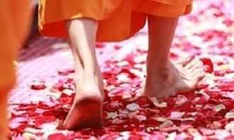 Buddhist monk walks on petals