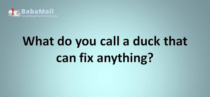 Animal puns: What do you call a duck that can fix anything? duck tape