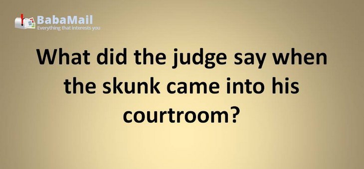 Animal puns: What did the judge say when the skunk came into his courtroom? "Odor in the court!"