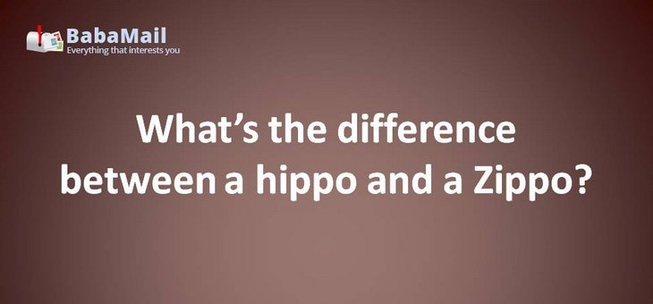 Animal puns: What's the difference between a hippo and a zippo? A hippo is really heavy, but a zippo is a little lighter.