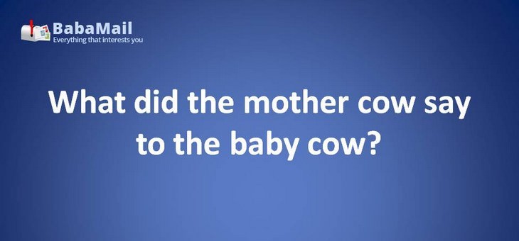 Animal puns: What did the mother cow say to the baby cow? It's pasture bedtime.