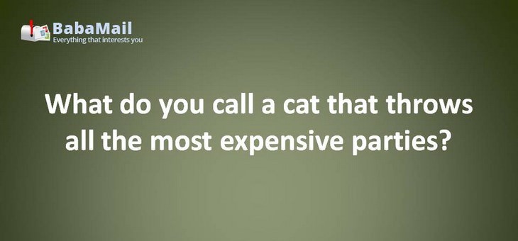 Animal puns: What do you call a cat that throws all the most expensive parties? The Great Catsby.