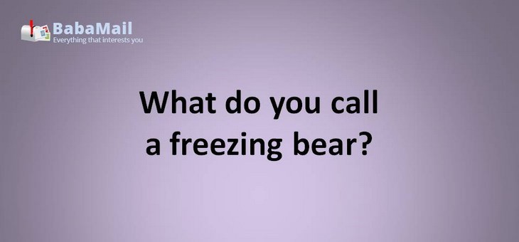Animal puns: What do you call a freezing bear? a brrrr