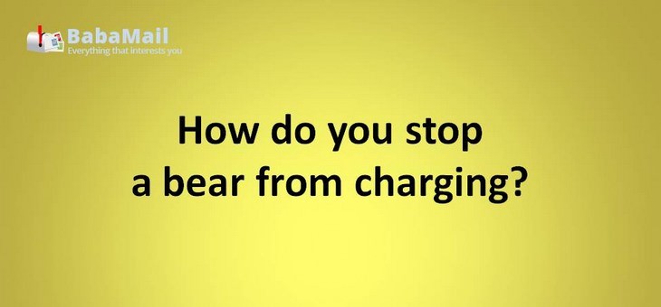 Animal puns: How do you stop bear from charging? Take away its credit cards.