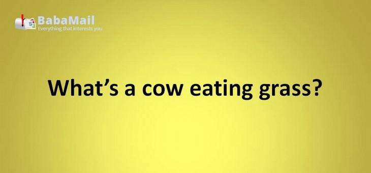 Animal puns: What's a cow eating grass? A lawn mooer.