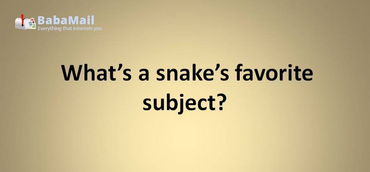 Animal puns: What's a snake's favorite subject? Hisss-tory!