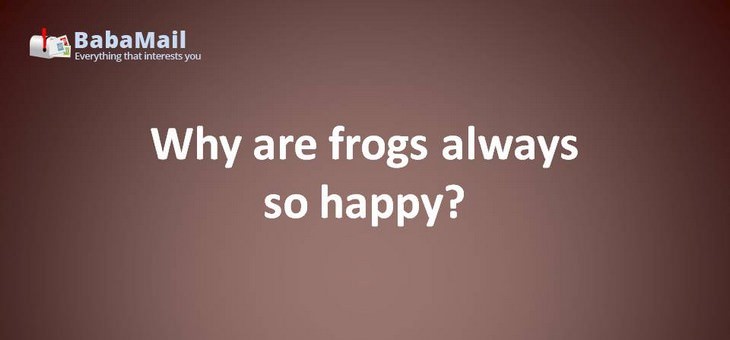 Animal puns: Why are frogs always so happy? They eat whatever bugs them