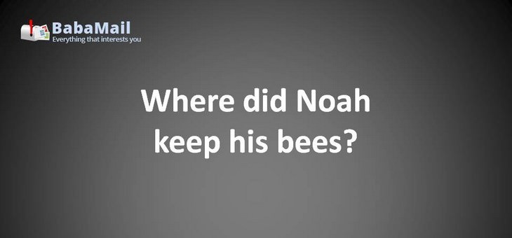 Animal puns: Where did Noah kept his bees? In his arc-hive