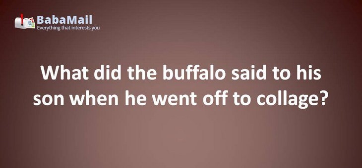 Animal puns: What did the buffalo said to his son when he went off to collage? Bison!