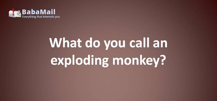 Animal puns: What do you call an exploding monkey? A baboom