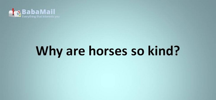 Animal puns: Why are horses so kind? Because of their amazing horse-potality