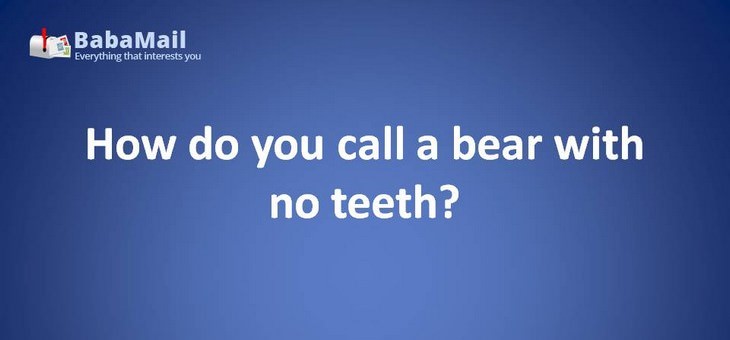Animal puns: How do you call a bear with no teeth? A gummy bear