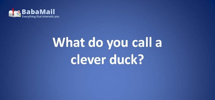 Animal puns: What do you call a clever duck? A wise quacker