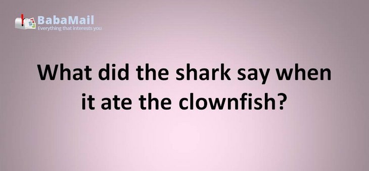 Animal puns: What did the shark say when it ate the clownfish? this tastes funny
