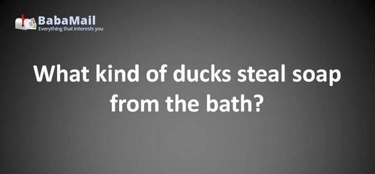 Animal puns: What kind of ducks steal soap from the bath? Robber ducks!