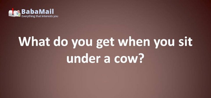 Animal puns: What do you get when you sit under a cow? A pat on the head.